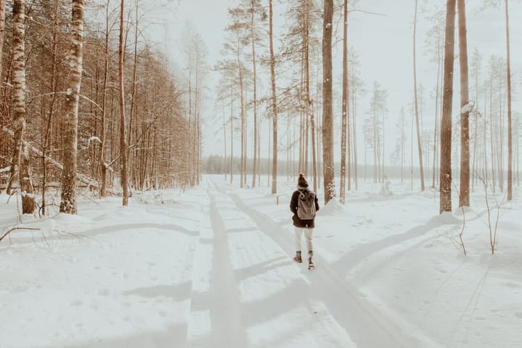 Talk the Walk